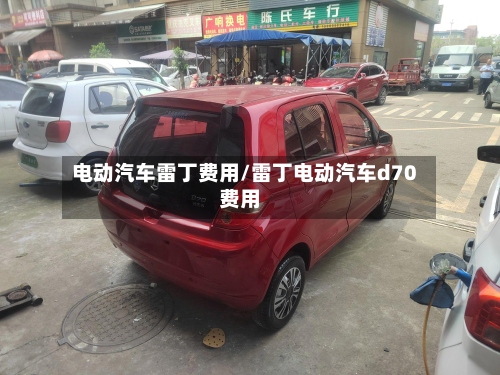 电动汽车雷丁费用/雷丁电动汽车d70费用