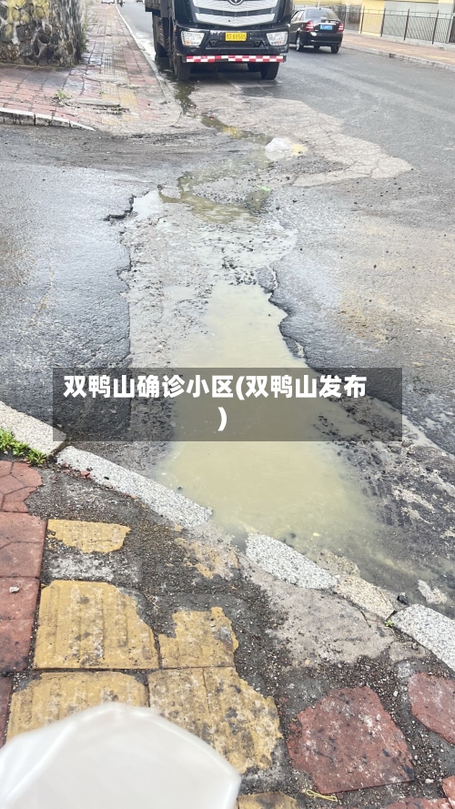 双鸭山确诊小区(双鸭山发布)