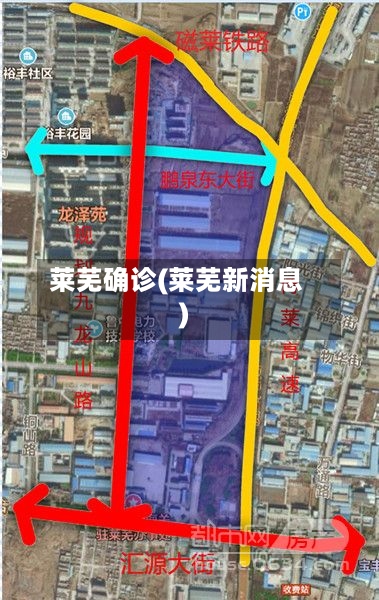 莱芜确诊(莱芜新消息)