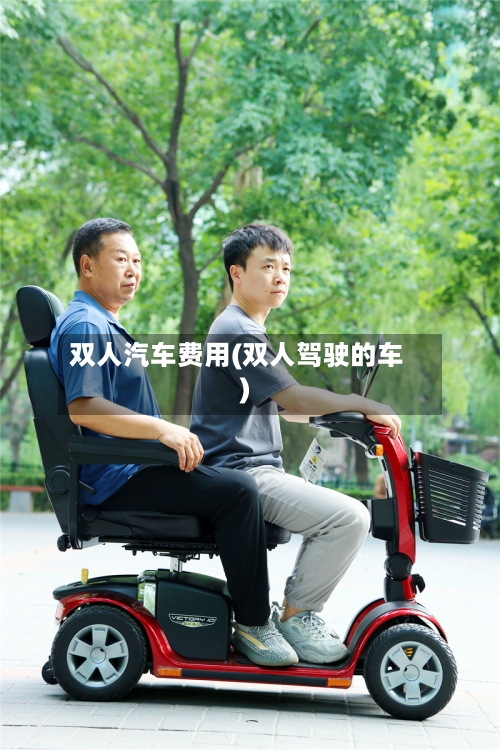双人汽车费用(双人驾驶的车)