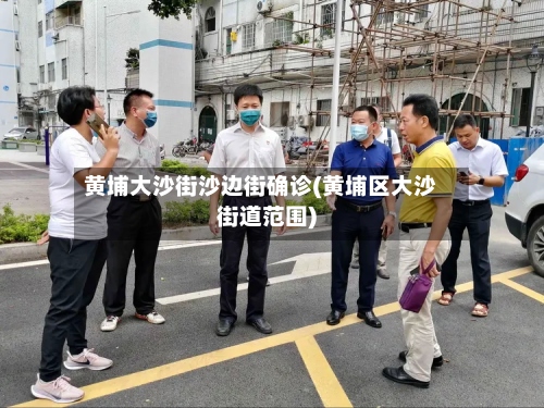 黄埔大沙街沙边街确诊(黄埔区大沙街道范围)