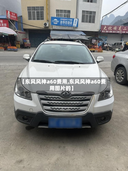 【东风风神a60费用,东风风神a60费用图片的】