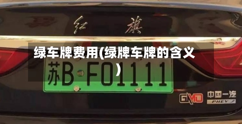 绿车牌费用(绿牌车牌的含义)