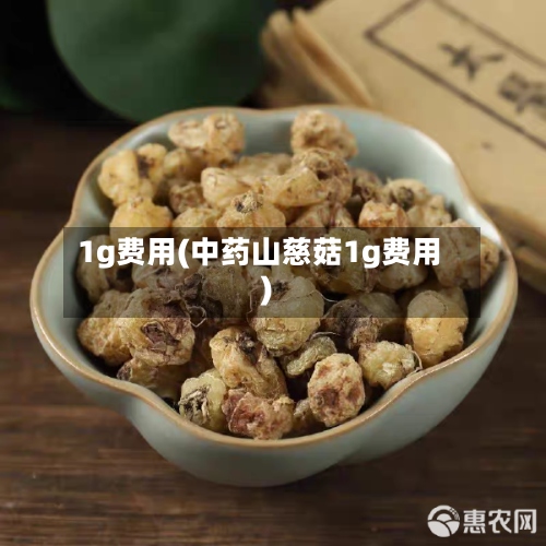 1g费用(中药山慈菇1g费用)-第3张图片