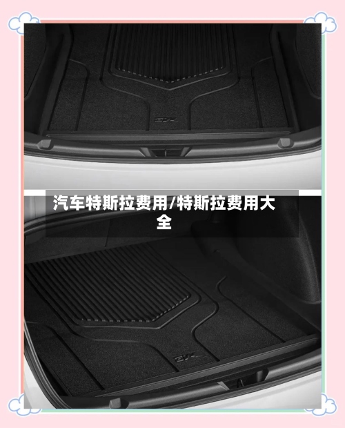 汽车特斯拉费用/特斯拉费用大全