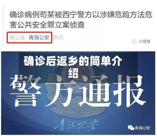 确诊后返乡的简单介绍-第2张图片