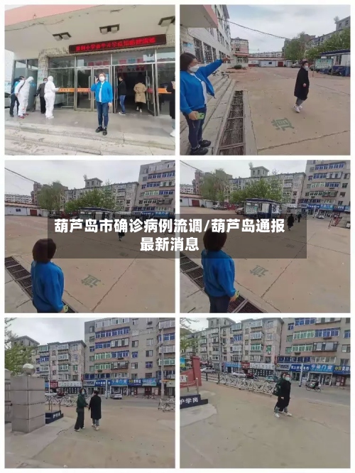 葫芦岛市确诊病例流调/葫芦岛通报最新消息