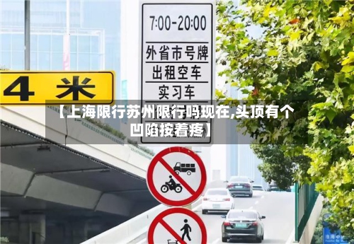 【上海限行苏州限行吗现在,头顶有个凹陷按着疼】-第2张图片