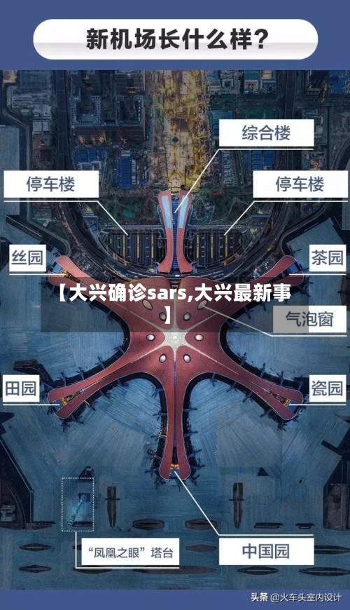 【大兴确诊sars,大兴最新事】