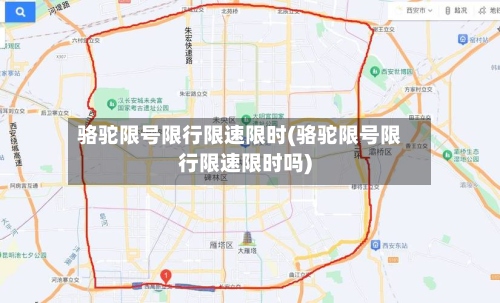 骆驼限号限行限速限时(骆驼限号限行限速限时吗)