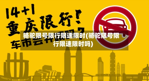 骆驼限号限行限速限时(骆驼限号限行限速限时吗)-第2张图片