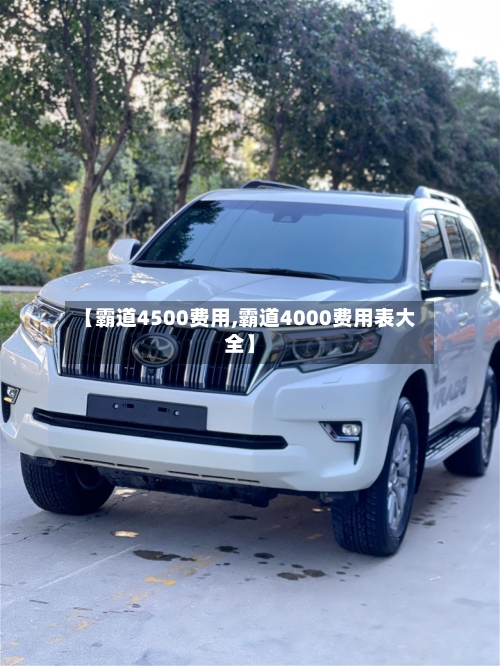 【霸道4500费用,霸道4000费用表大全】