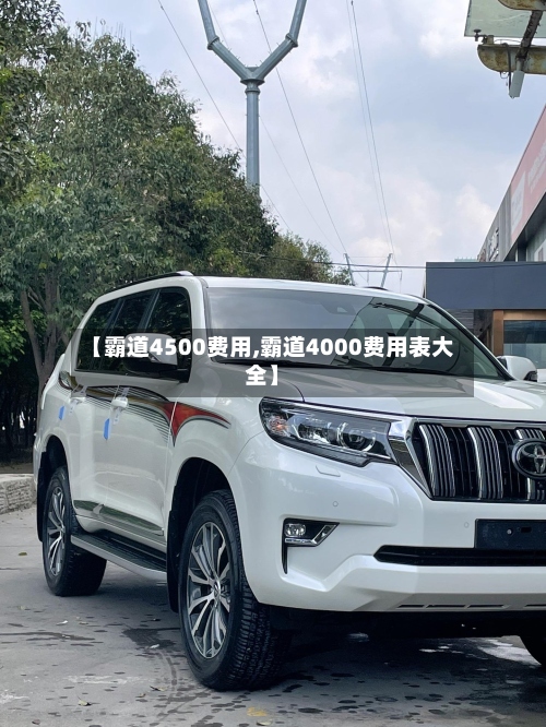 【霸道4500费用,霸道4000费用表大全】-第2张图片