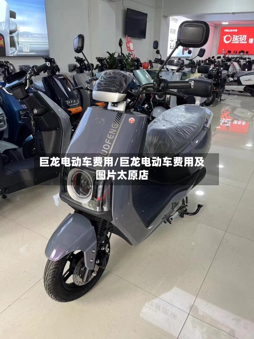 巨龙电动车费用/巨龙电动车费用及图片太原店