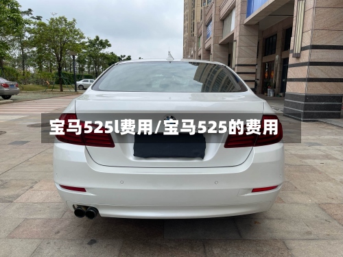 宝马525l费用/宝马525的费用-第2张图片