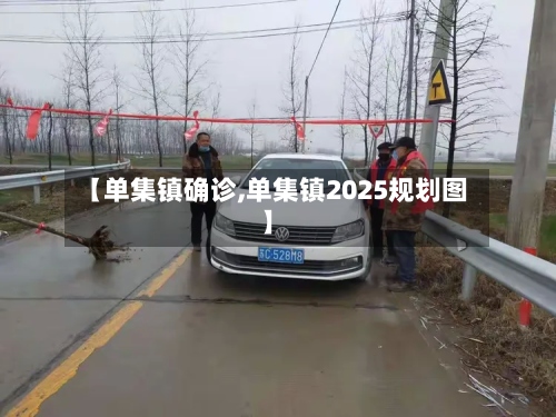 【单集镇确诊,单集镇2025规划图】-第2张图片