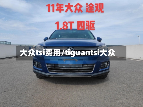 大众tsi费用/tiguantsi大众-第2张图片