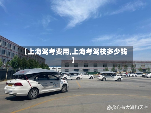 【上海驾考费用,上海考驾校多少钱】
