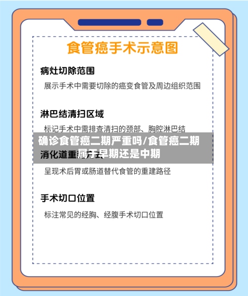 确诊食管癌二期严重吗/食管癌二期属于早期还是中期-第2张图片