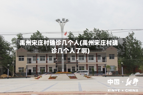 禹州宋庄村确诊几个人(禹州宋庄村确诊几个人了啊)