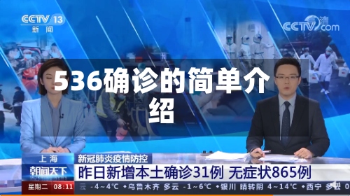 536确诊的简单介绍