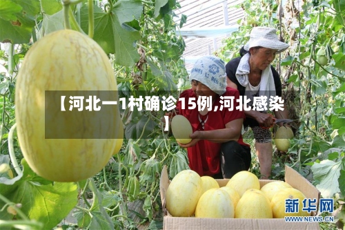 【河北一1村确诊15例,河北感染】