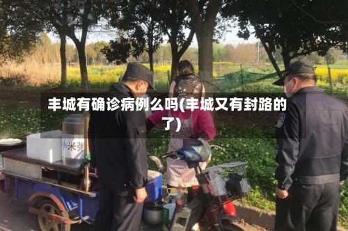 丰城有确诊病例么吗(丰城又有封路的了)-第2张图片