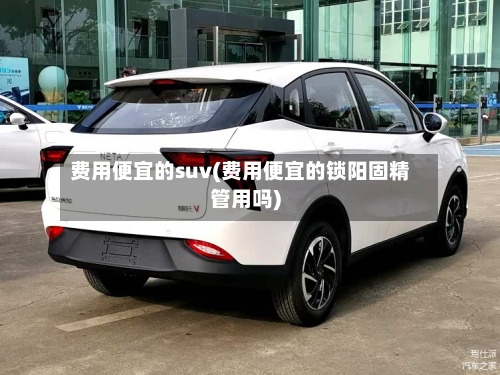 费用便宜的suv(费用便宜的锁阳固精管用吗)-第3张图片