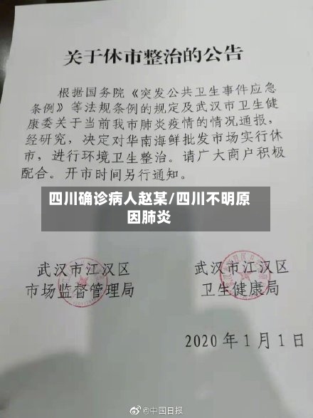 四川确诊病人赵某/四川不明原因肺炎-第3张图片
