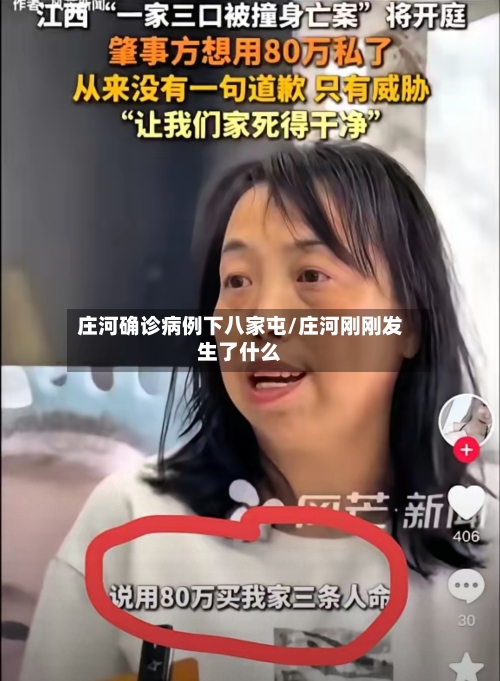 庄河确诊病例下八家屯/庄河刚刚发生了什么-第3张图片