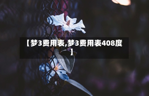 【梦3费用表,梦3费用表408度】