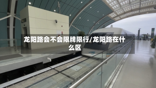 龙阳路会不会限牌限行/龙阳路在什么区