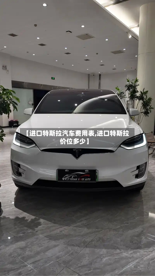 【进口特斯拉汽车费用表,进口特斯拉价位多少】