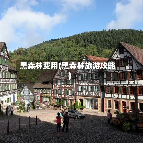黑森林费用(黑森林旅游攻略)-第3张图片