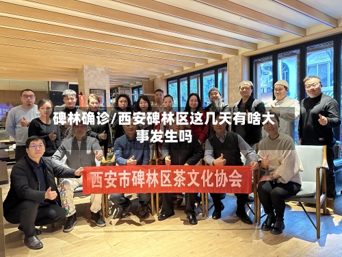 碑林确诊/西安碑林区这几天有啥大事发生吗