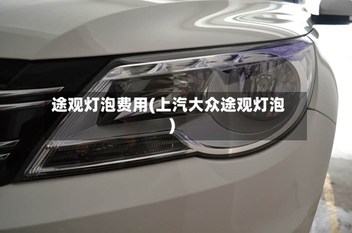 途观灯泡费用(上汽大众途观灯泡)-第3张图片