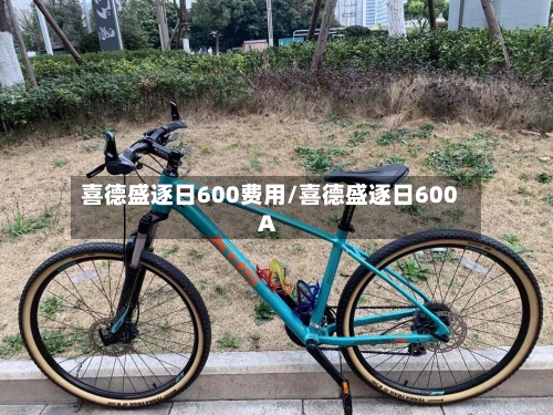 喜德盛逐日600费用/喜德盛逐日600A-第3张图片