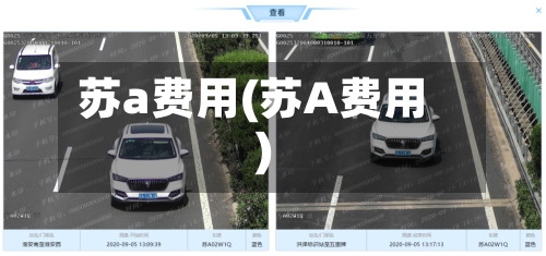 苏a费用(苏A费用)
