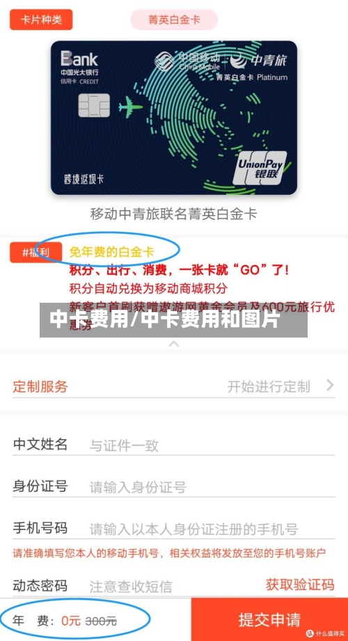 中卡费用/中卡费用和图片