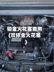 铂金火花塞费用(双铱金火花塞)