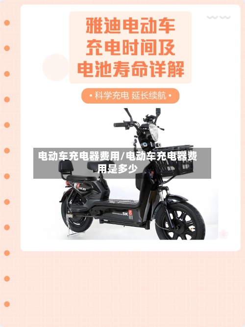 电动车充电器费用/电动车充电器费用是多少-第3张图片