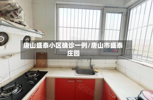 唐山盛泰小区确诊一例/唐山市盛泰庄园-第2张图片