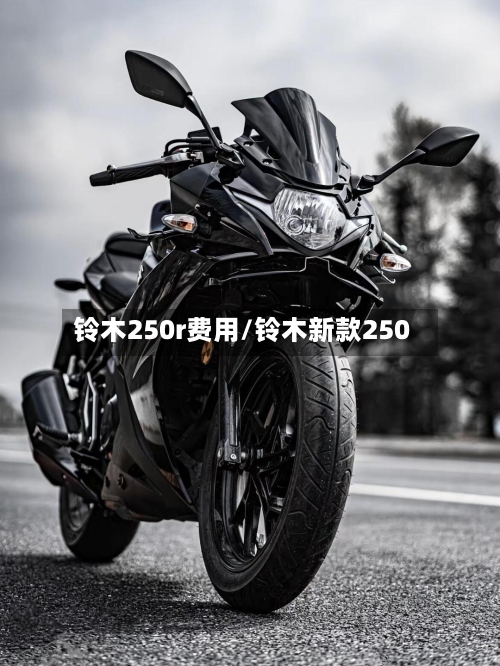 铃木250r费用/铃木新款250