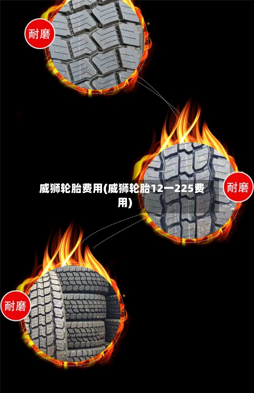 威狮轮胎费用(威狮轮胎12一225费用)-第3张图片