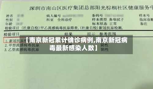 【南京新冠累计确诊病例,南京新冠病毒最新感染人数】