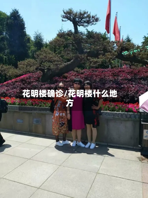 花明楼确诊/花明楼什么地方-第2张图片