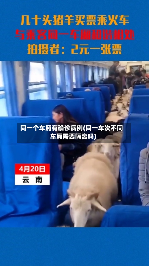 同一个车厢有确诊病例(同一车次不同车厢需要隔离吗)