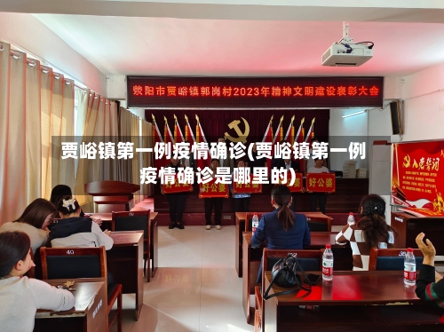 贾峪镇第一例疫情确诊(贾峪镇第一例疫情确诊是哪里的)-第2张图片
