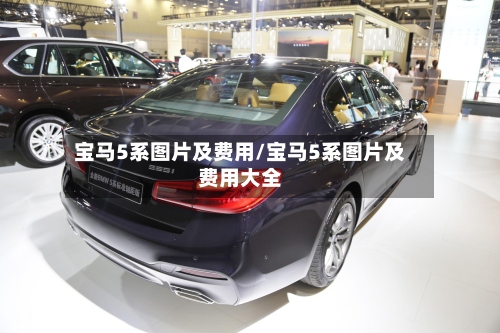 宝马5系图片及费用/宝马5系图片及费用大全