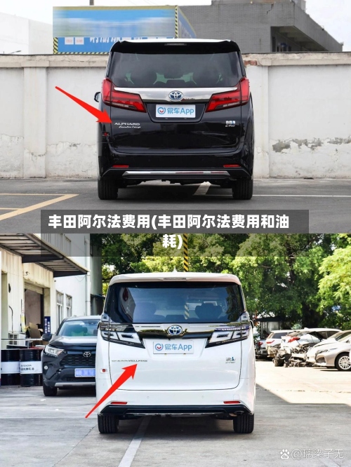 丰田阿尔法费用(丰田阿尔法费用和油耗)